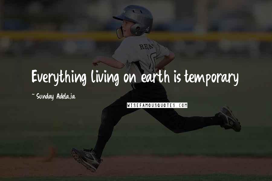 Sunday Adelaja Quotes: Everything living on earth is temporary