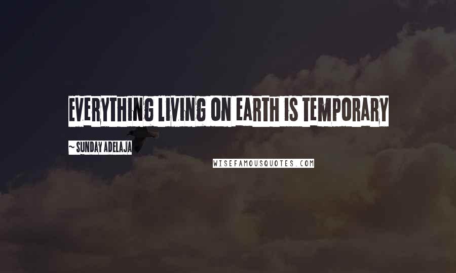 Sunday Adelaja Quotes: Everything living on earth is temporary