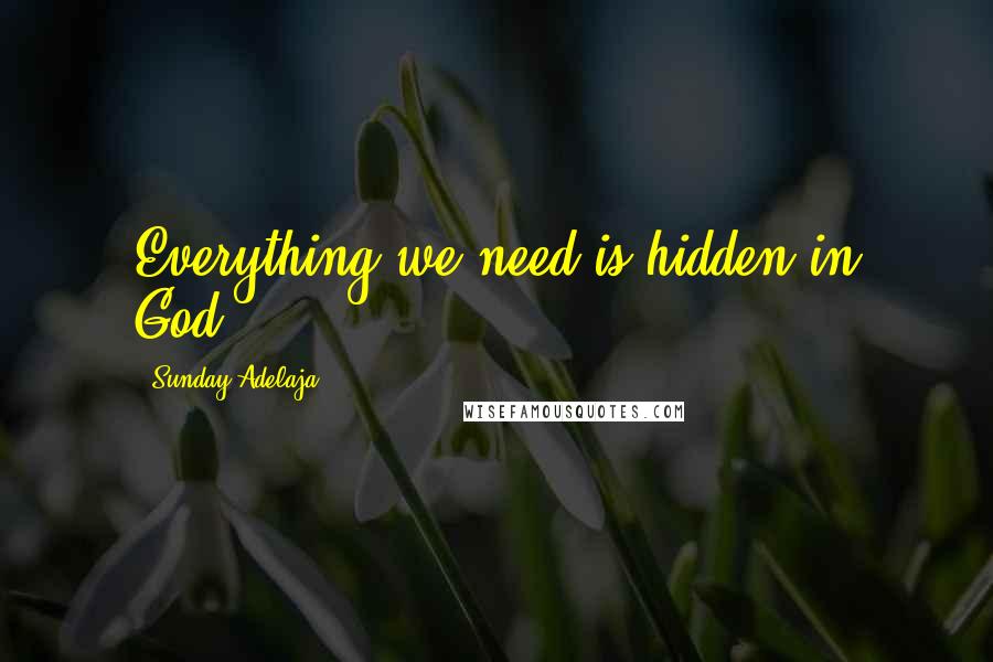 Sunday Adelaja Quotes: Everything we need is hidden in God.