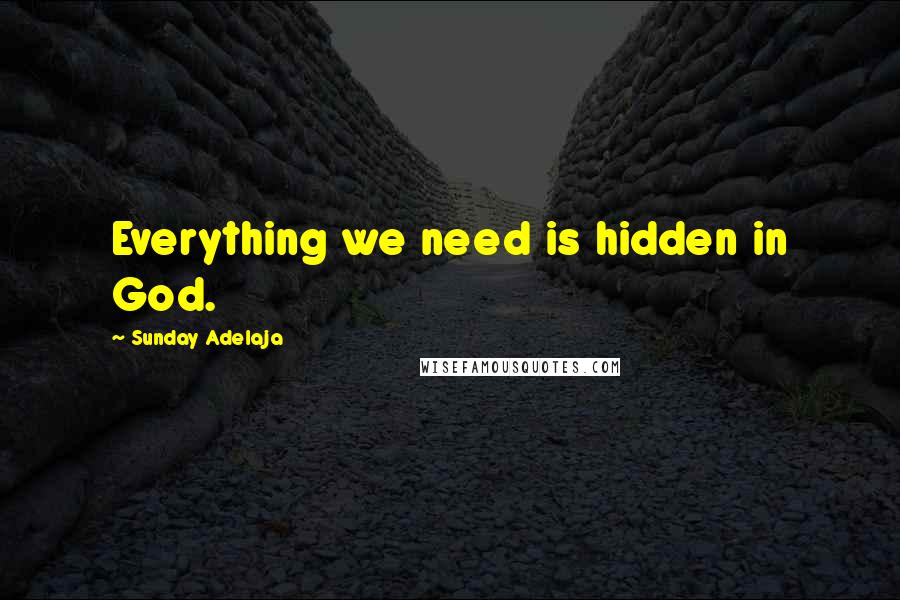 Sunday Adelaja Quotes: Everything we need is hidden in God.