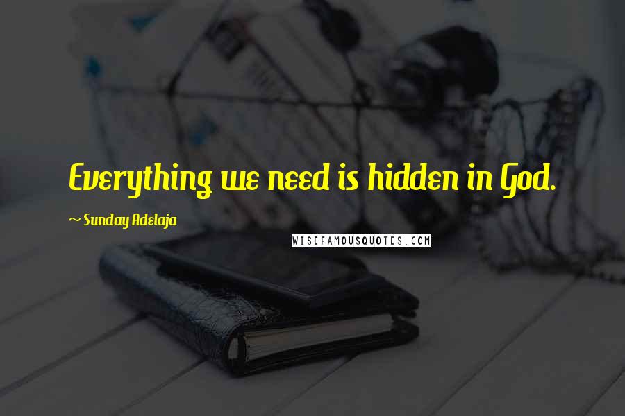 Sunday Adelaja Quotes: Everything we need is hidden in God.