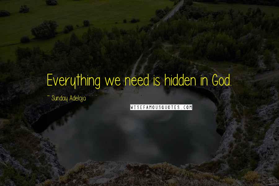 Sunday Adelaja Quotes: Everything we need is hidden in God.