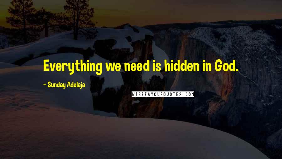 Sunday Adelaja Quotes: Everything we need is hidden in God.