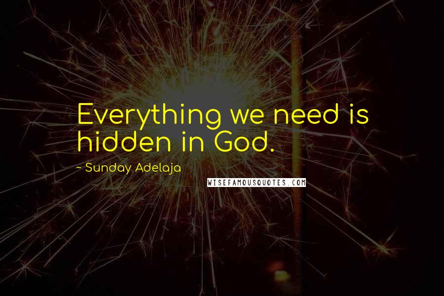 Sunday Adelaja Quotes: Everything we need is hidden in God.