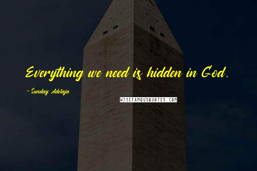 Sunday Adelaja Quotes: Everything we need is hidden in God.