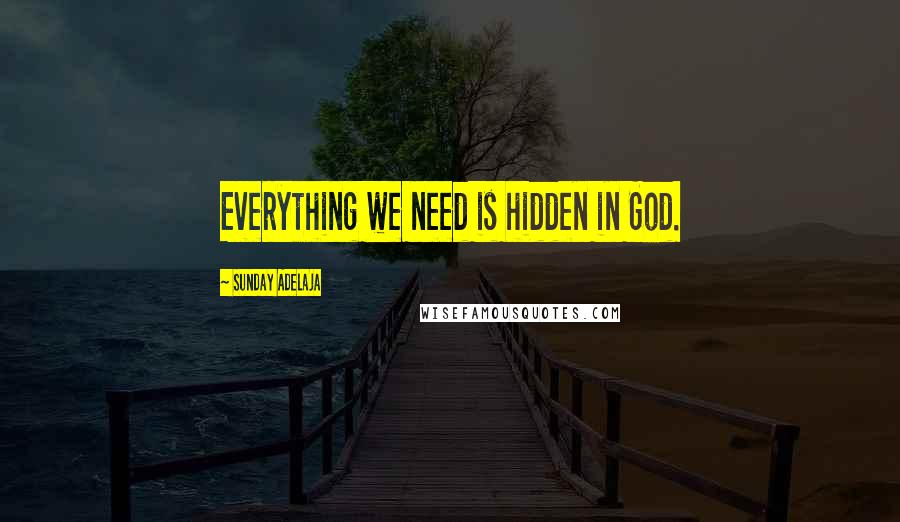 Sunday Adelaja Quotes: Everything we need is hidden in God.