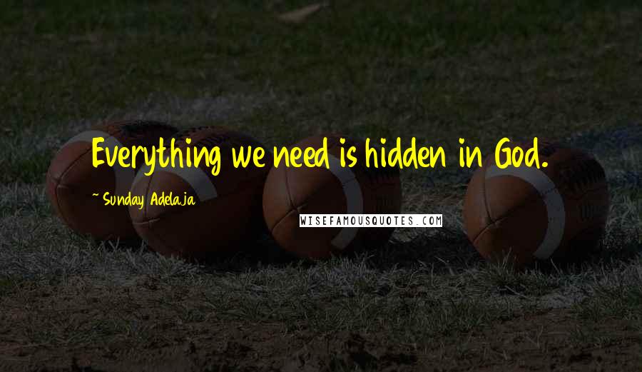Sunday Adelaja Quotes: Everything we need is hidden in God.