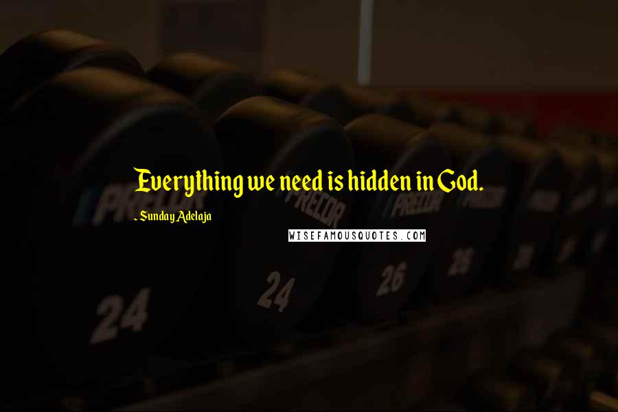 Sunday Adelaja Quotes: Everything we need is hidden in God.