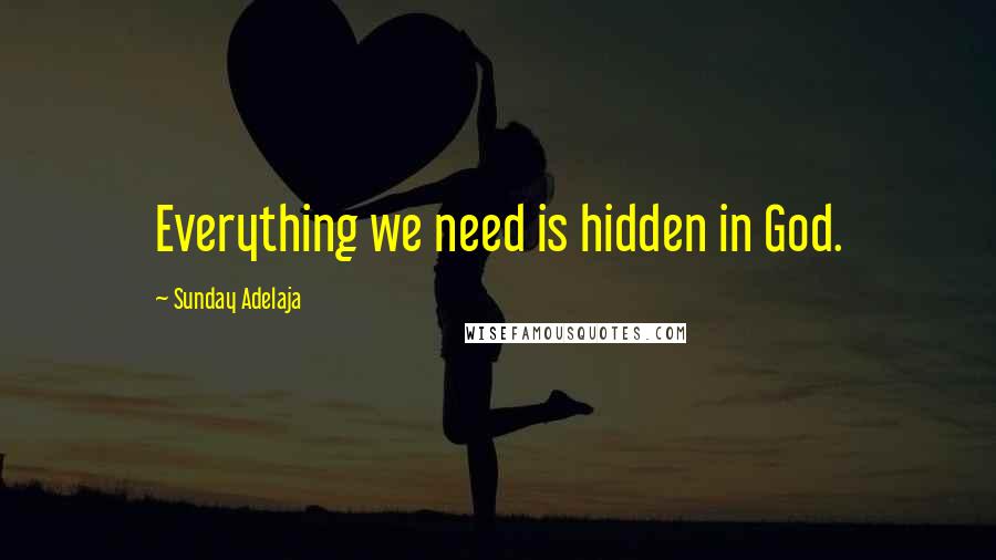 Sunday Adelaja Quotes: Everything we need is hidden in God.