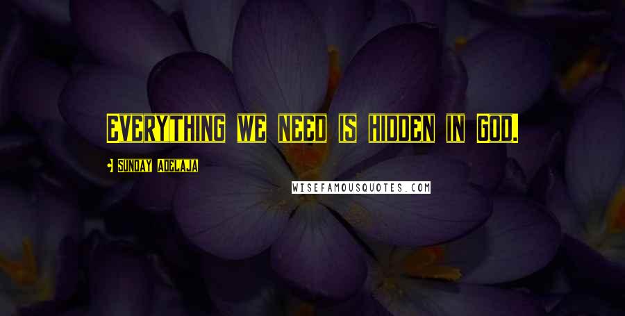 Sunday Adelaja Quotes: Everything we need is hidden in God.