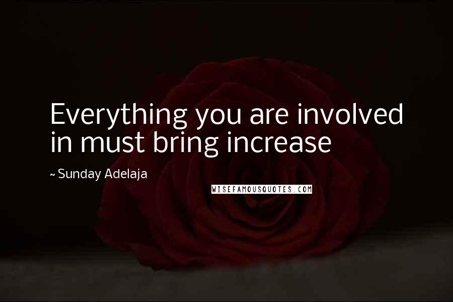 Sunday Adelaja Quotes: Everything you are involved in must bring increase