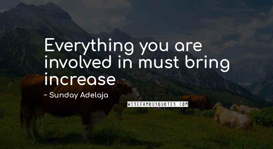 Sunday Adelaja Quotes: Everything you are involved in must bring increase