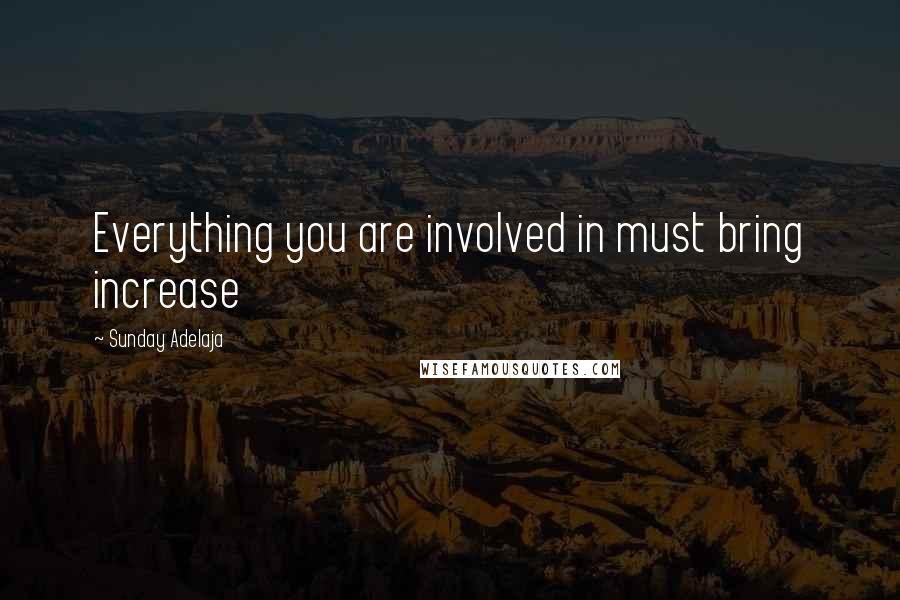 Sunday Adelaja Quotes: Everything you are involved in must bring increase