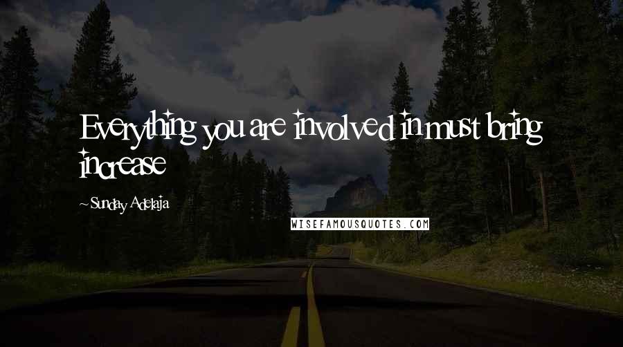 Sunday Adelaja Quotes: Everything you are involved in must bring increase