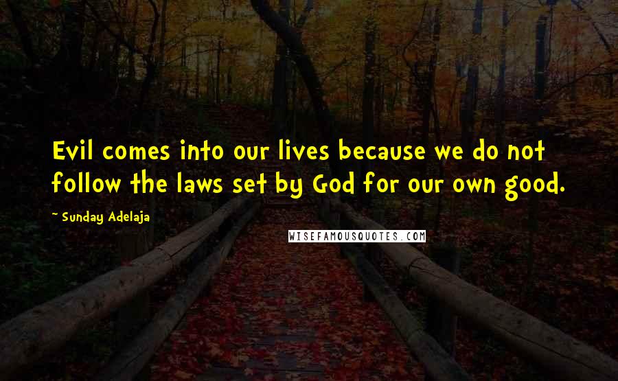 Sunday Adelaja Quotes: Evil comes into our lives because we do not follow the laws set by God for our own good.