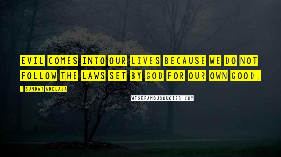 Sunday Adelaja Quotes: Evil comes into our lives because we do not follow the laws set by God for our own good.