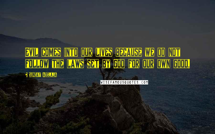 Sunday Adelaja Quotes: Evil comes into our lives because we do not follow the laws set by God for our own good.