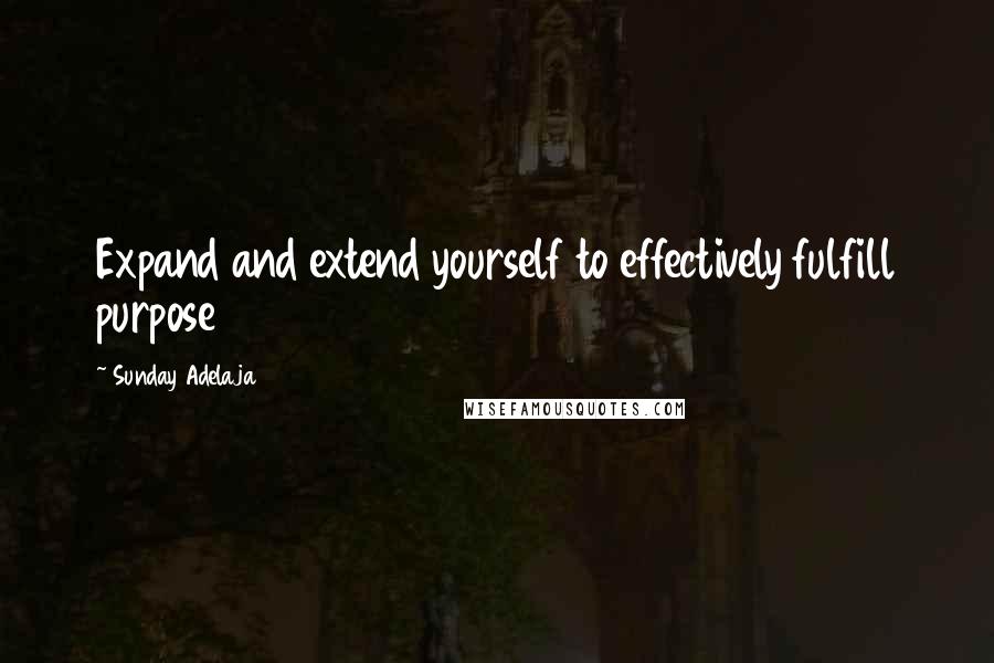 Sunday Adelaja Quotes: Expand and extend yourself to effectively fulfill purpose