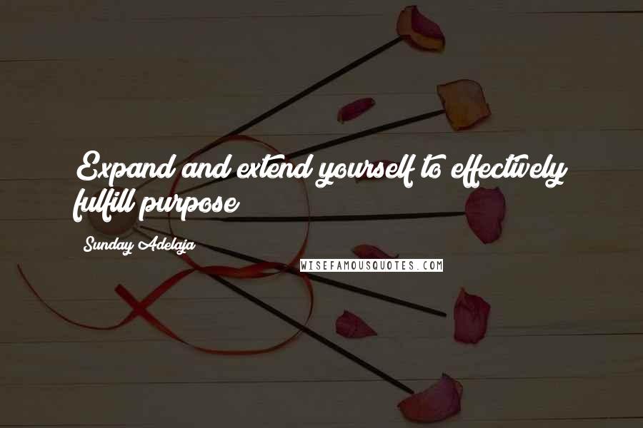 Sunday Adelaja Quotes: Expand and extend yourself to effectively fulfill purpose