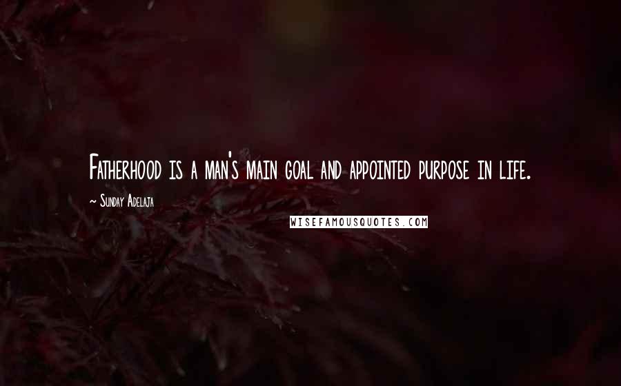 Sunday Adelaja Quotes: Fatherhood is a man's main goal and appointed purpose in life.