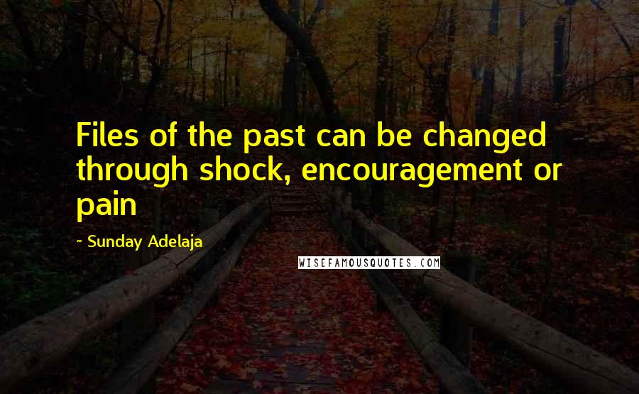 Sunday Adelaja Quotes: Files of the past can be changed through shock, encouragement or pain