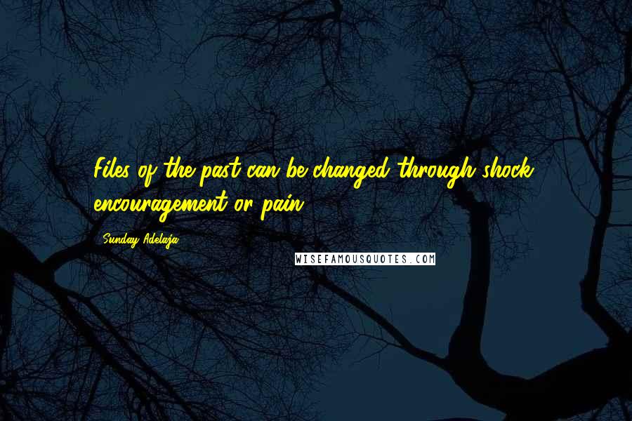 Sunday Adelaja Quotes: Files of the past can be changed through shock, encouragement or pain