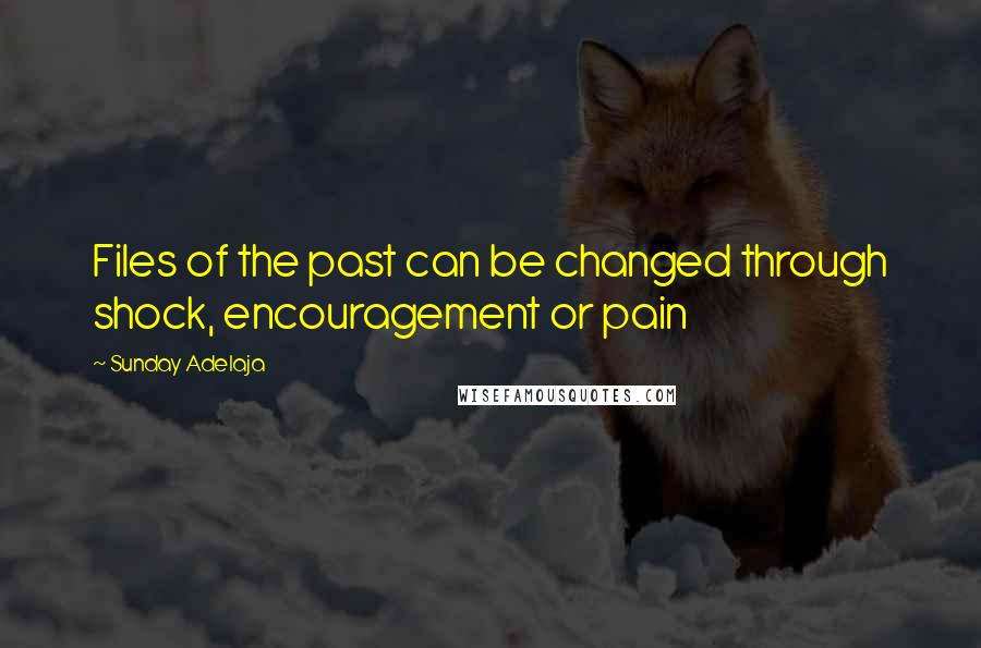 Sunday Adelaja Quotes: Files of the past can be changed through shock, encouragement or pain