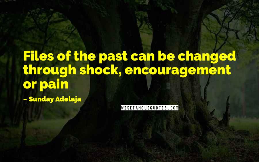 Sunday Adelaja Quotes: Files of the past can be changed through shock, encouragement or pain
