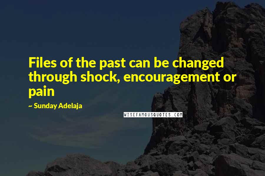 Sunday Adelaja Quotes: Files of the past can be changed through shock, encouragement or pain