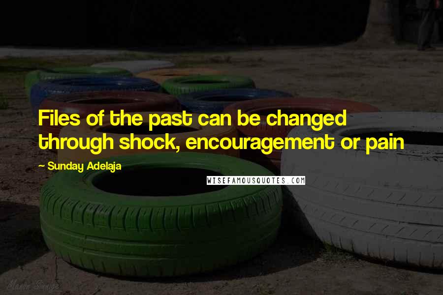 Sunday Adelaja Quotes: Files of the past can be changed through shock, encouragement or pain