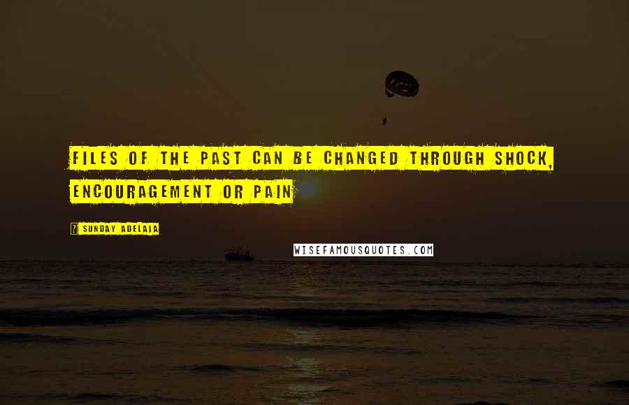 Sunday Adelaja Quotes: Files of the past can be changed through shock, encouragement or pain