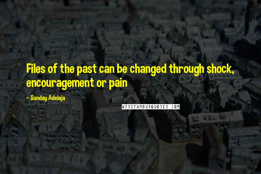 Sunday Adelaja Quotes: Files of the past can be changed through shock, encouragement or pain