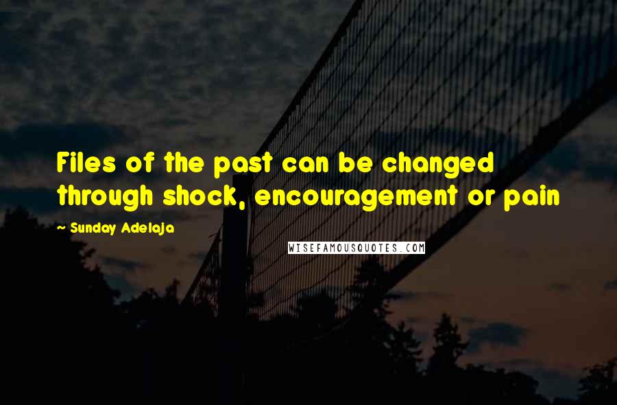 Sunday Adelaja Quotes: Files of the past can be changed through shock, encouragement or pain