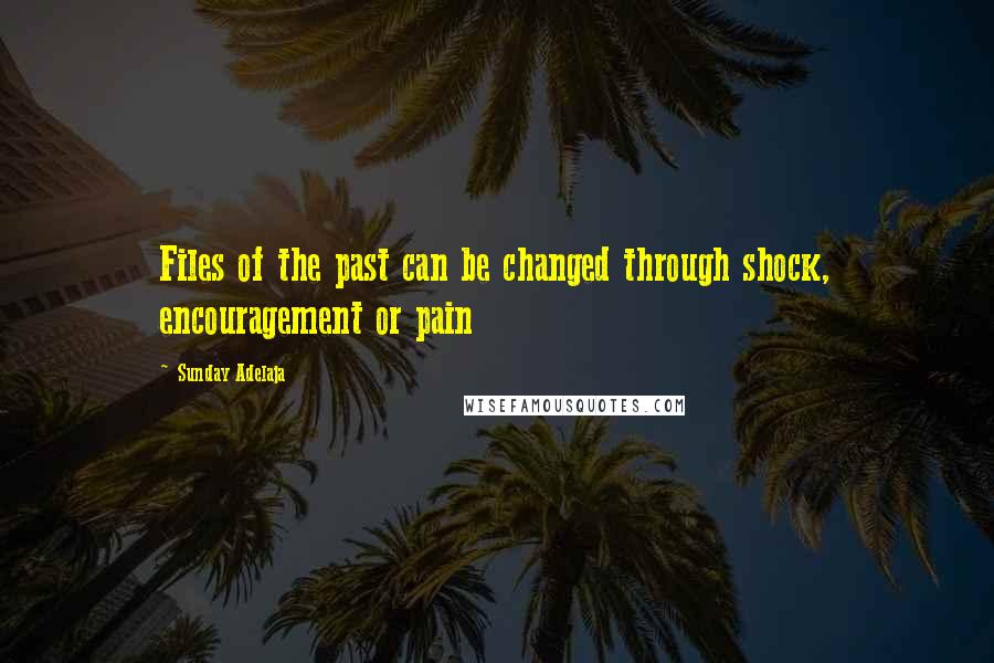 Sunday Adelaja Quotes: Files of the past can be changed through shock, encouragement or pain