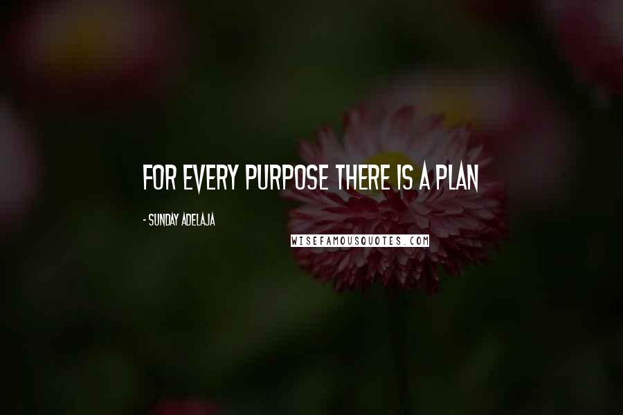 Sunday Adelaja Quotes: For every purpose there is a plan