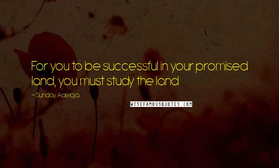 Sunday Adelaja Quotes: For you to be successful in your promised land, you must study the land