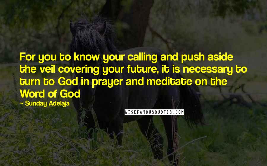 Sunday Adelaja Quotes: For you to know your calling and push aside the veil covering your future, it is necessary to turn to God in prayer and meditate on the Word of God