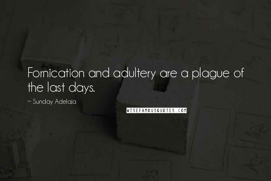 Sunday Adelaja Quotes: Fornication and adultery are a plague of the last days.