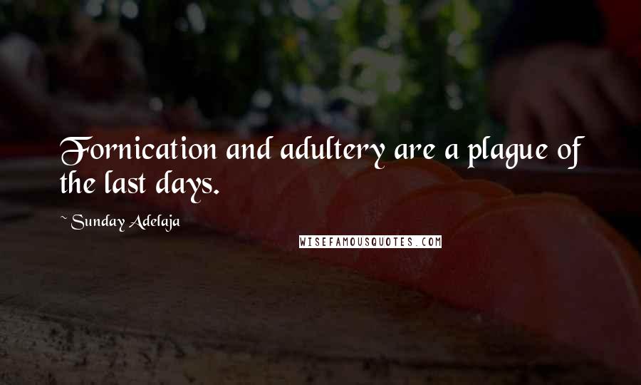 Sunday Adelaja Quotes: Fornication and adultery are a plague of the last days.