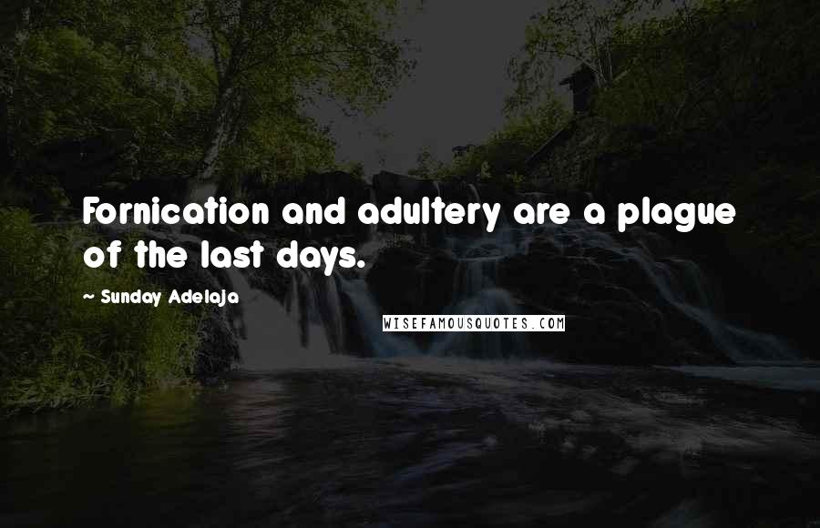 Sunday Adelaja Quotes: Fornication and adultery are a plague of the last days.
