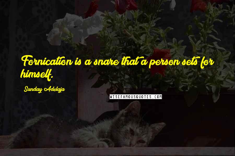 Sunday Adelaja Quotes: Fornication is a snare that a person sets for himself.