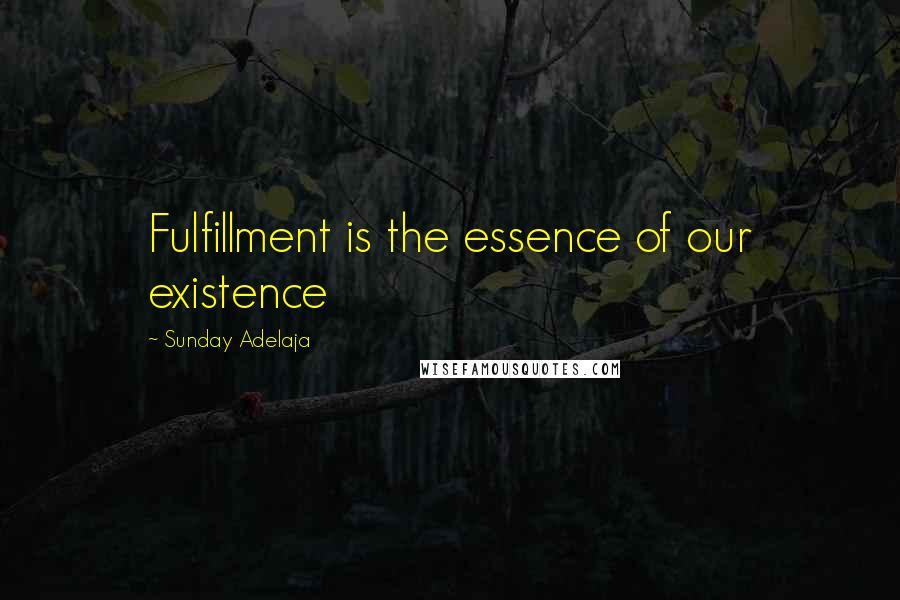 Sunday Adelaja Quotes: Fulfillment is the essence of our existence