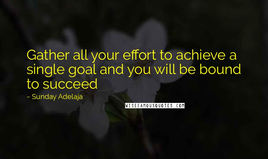 Sunday Adelaja Quotes: Gather all your effort to achieve a single goal and you will be bound to succeed