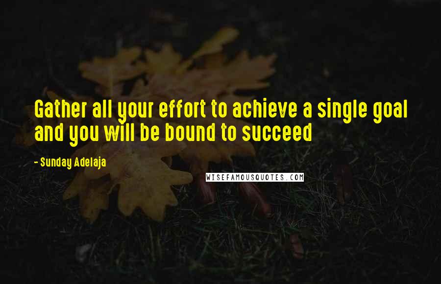 Sunday Adelaja Quotes: Gather all your effort to achieve a single goal and you will be bound to succeed