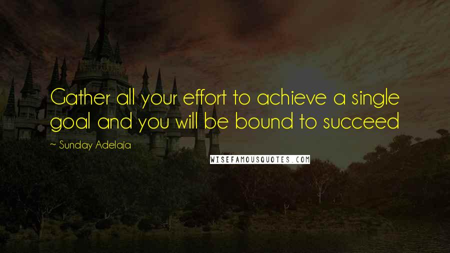 Sunday Adelaja Quotes: Gather all your effort to achieve a single goal and you will be bound to succeed