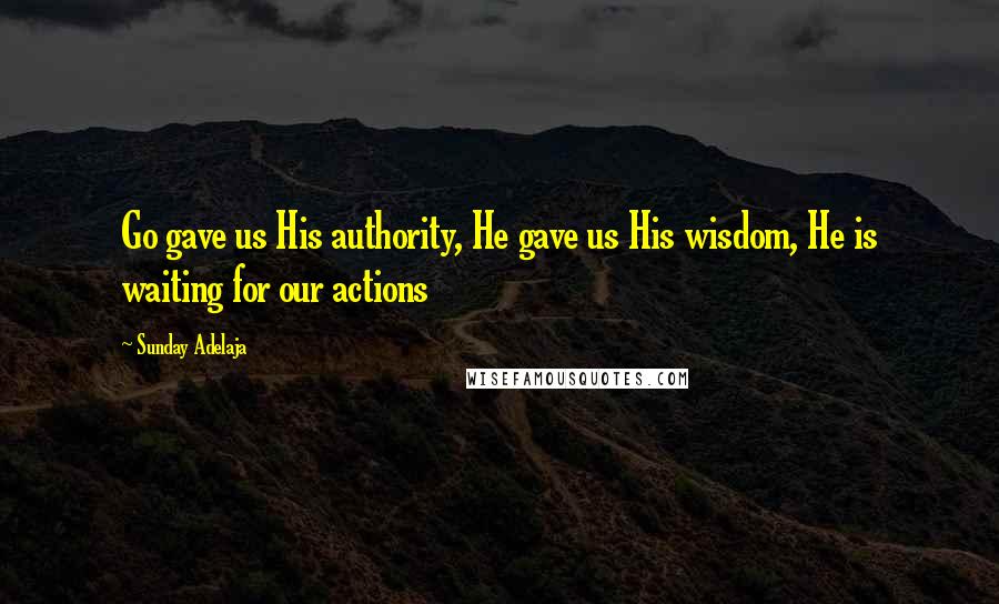 Sunday Adelaja Quotes: Go gave us His authority, He gave us His wisdom, He is waiting for our actions