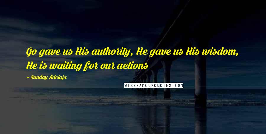 Sunday Adelaja Quotes: Go gave us His authority, He gave us His wisdom, He is waiting for our actions