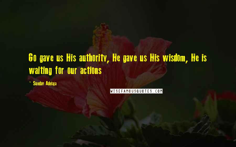 Sunday Adelaja Quotes: Go gave us His authority, He gave us His wisdom, He is waiting for our actions