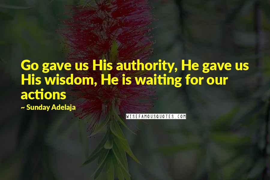 Sunday Adelaja Quotes: Go gave us His authority, He gave us His wisdom, He is waiting for our actions