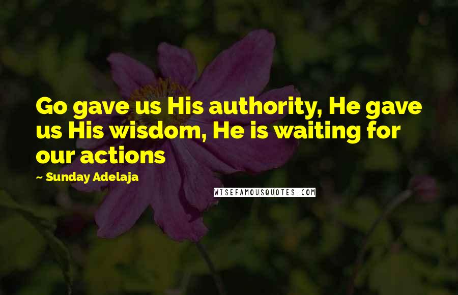 Sunday Adelaja Quotes: Go gave us His authority, He gave us His wisdom, He is waiting for our actions